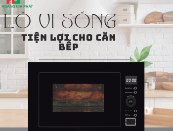 Lò Vi Sóng Tiện Lợi Cho Bếp
